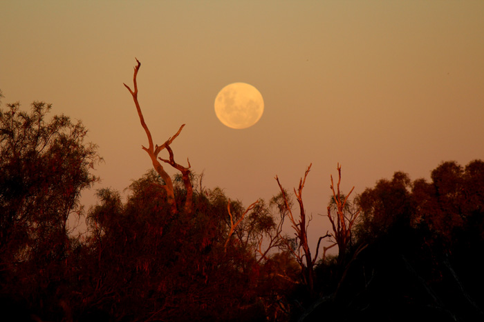 Licht und Schatten, Mond bei Sonnenuntergang